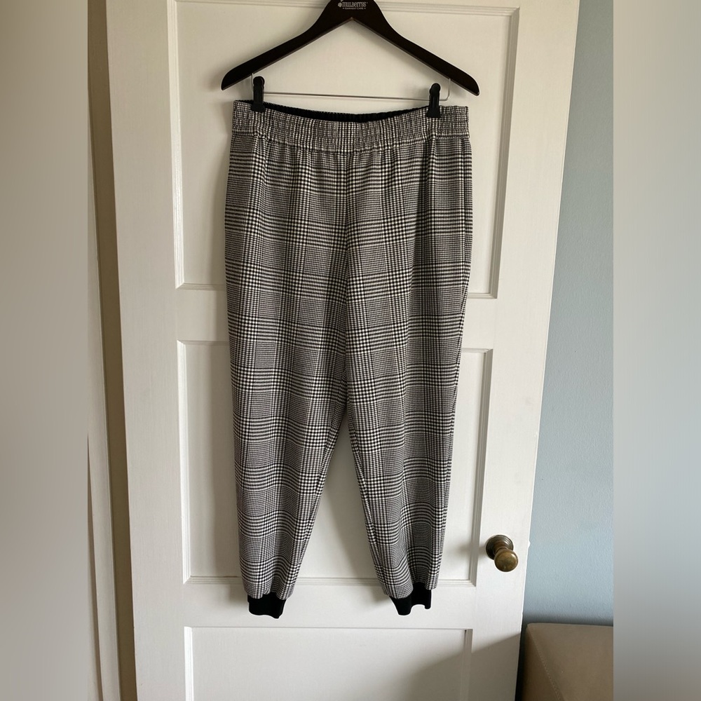 Alice and Olivia joggers size 10.